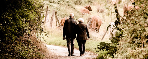Retirement planning consultation scene